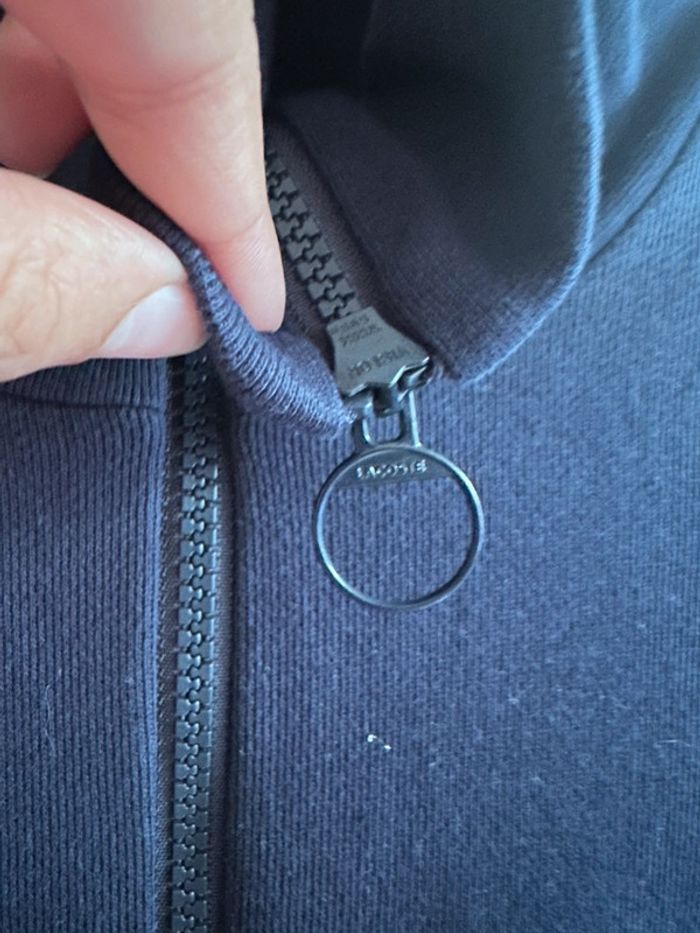 Robe pull Lacoste - photo numéro 5