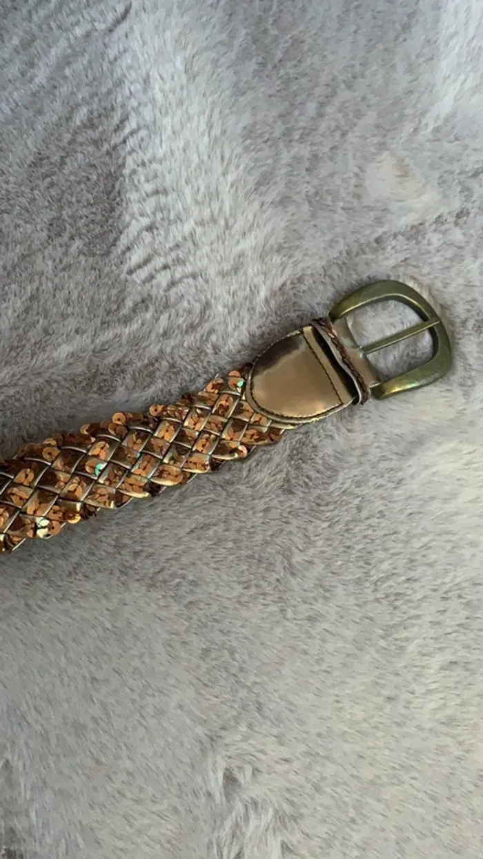 Ceinture paillettes - photo numéro 3