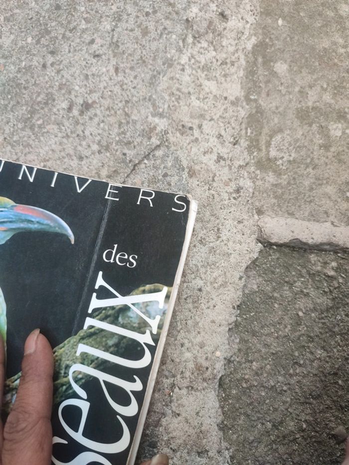 Livre l'univers des oiseaux - photo numéro 5