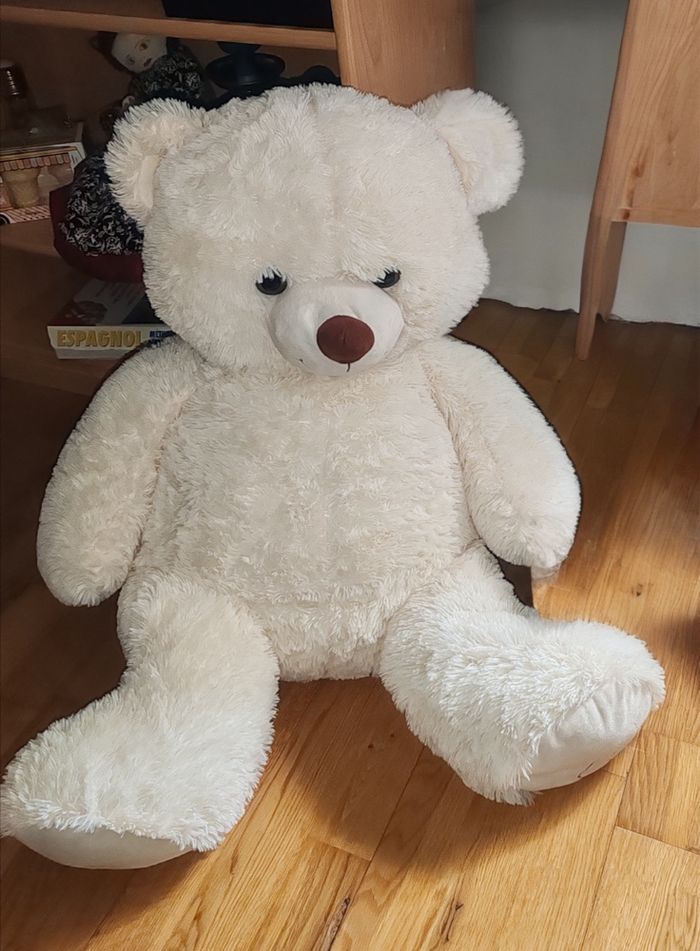 Ours en peluche