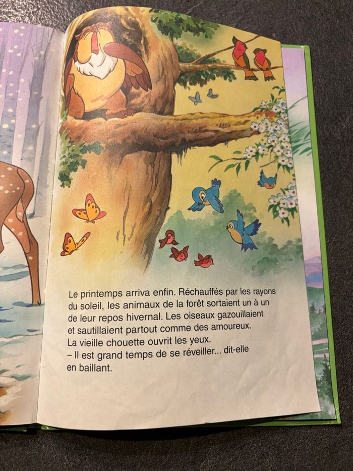 Livre bambi - photo numéro 4