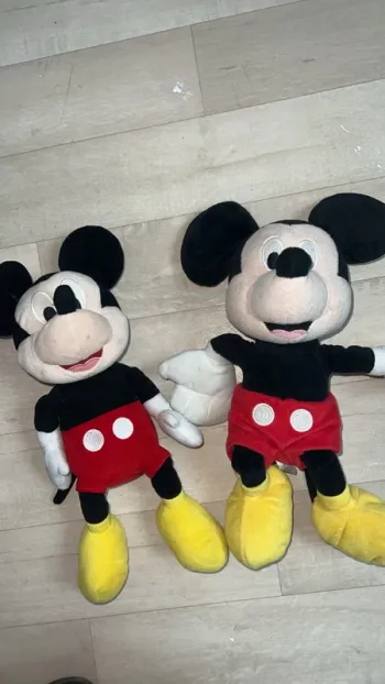 Lot Mickey