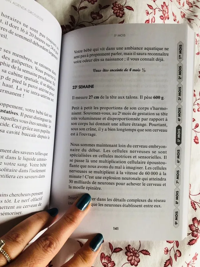 Livre future maman 🍼 - photo numéro 3