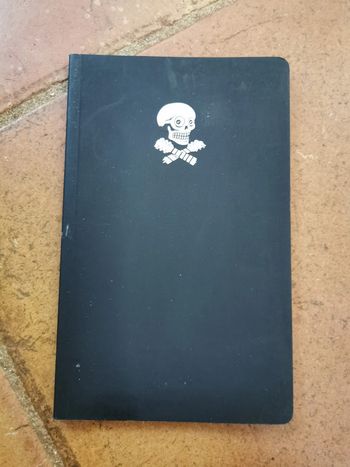 être rock, 113 mantras pour le rocker moderne, livre de Philippe Manoeuvre