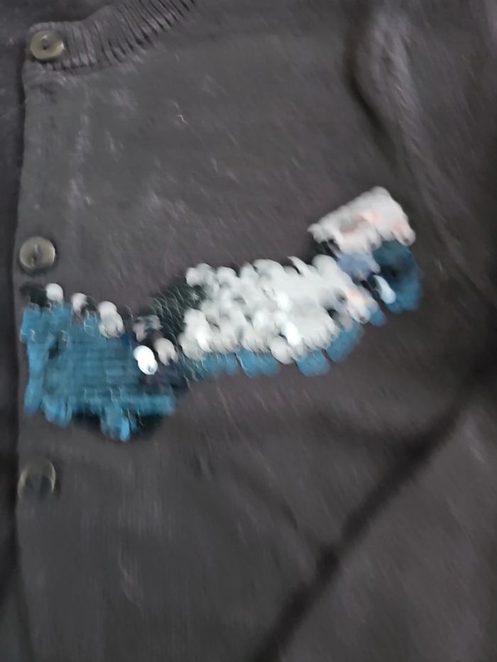 Gilet dpam 5 ans - photo numéro 2