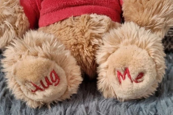 Peluche ourson avec t-shirt - photo numéro 3