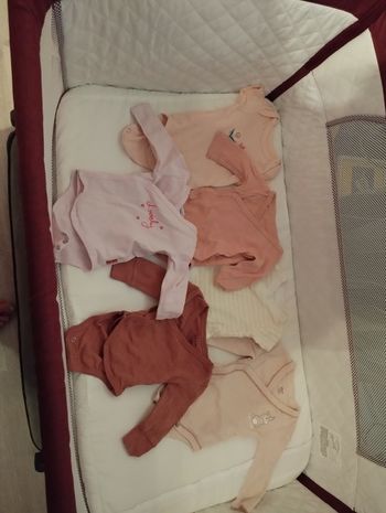 Bodies bebe