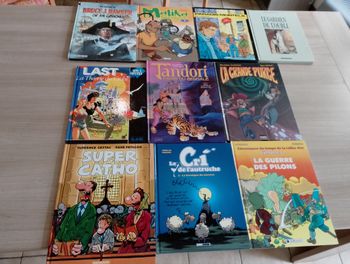 Lot de 10 BD divers (9)