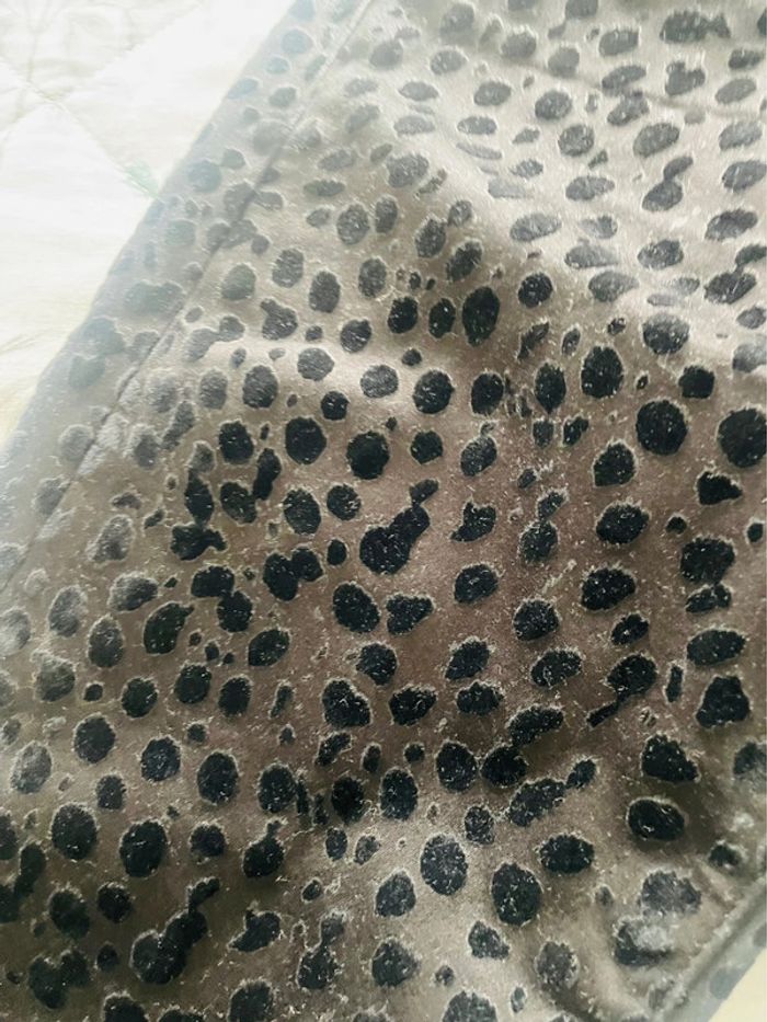 Pantalon Salsa - photo numéro 6