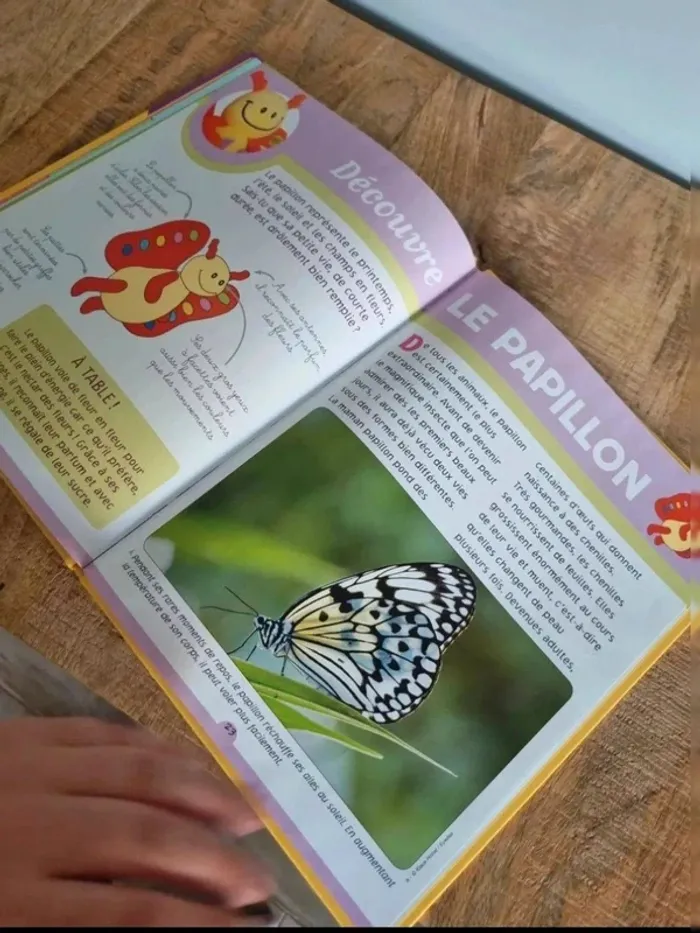 Livre enfant mon abécédaire des animaux découvre le 10 avec Pacôme le papillon - photo numéro 5