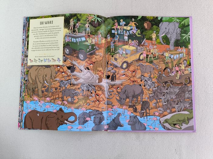 Livre Où sont cachés les licornes ? - photo numéro 7