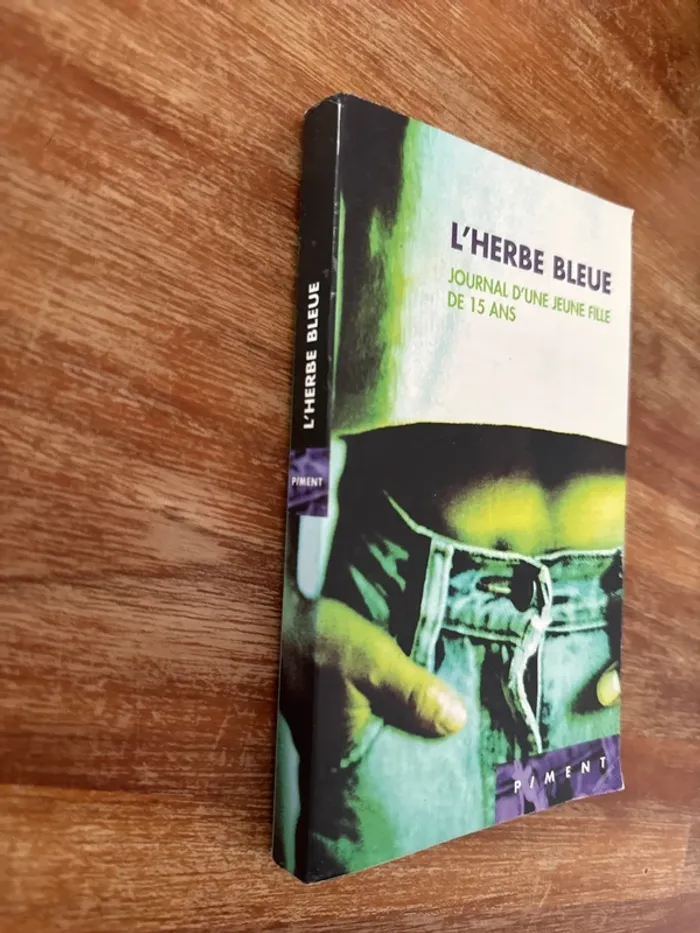 Livre l’herbe bleue, journal d’une jeune fille de 15 ans - photo numéro 2