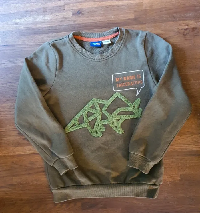 Pull Dino mixte taille 5/6 ans.