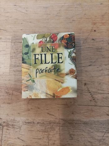 Mini livre Une fille parfaite