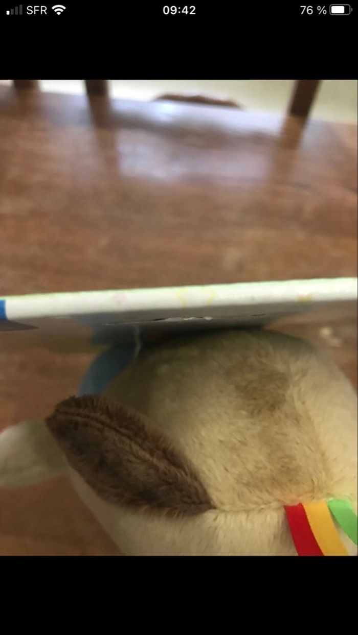 Doudou pete the puppy - photo numéro 3