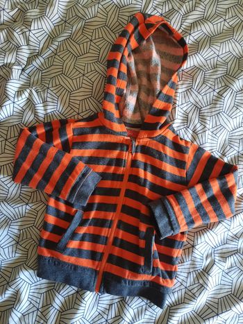 Gilet à capuche Tissaia 24M