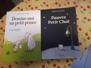 Pauvre petit chat/ Dessine-moi un petit prince