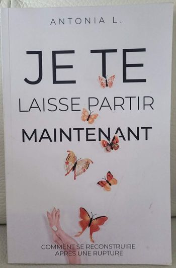 Livre je te laisse partir maintenant