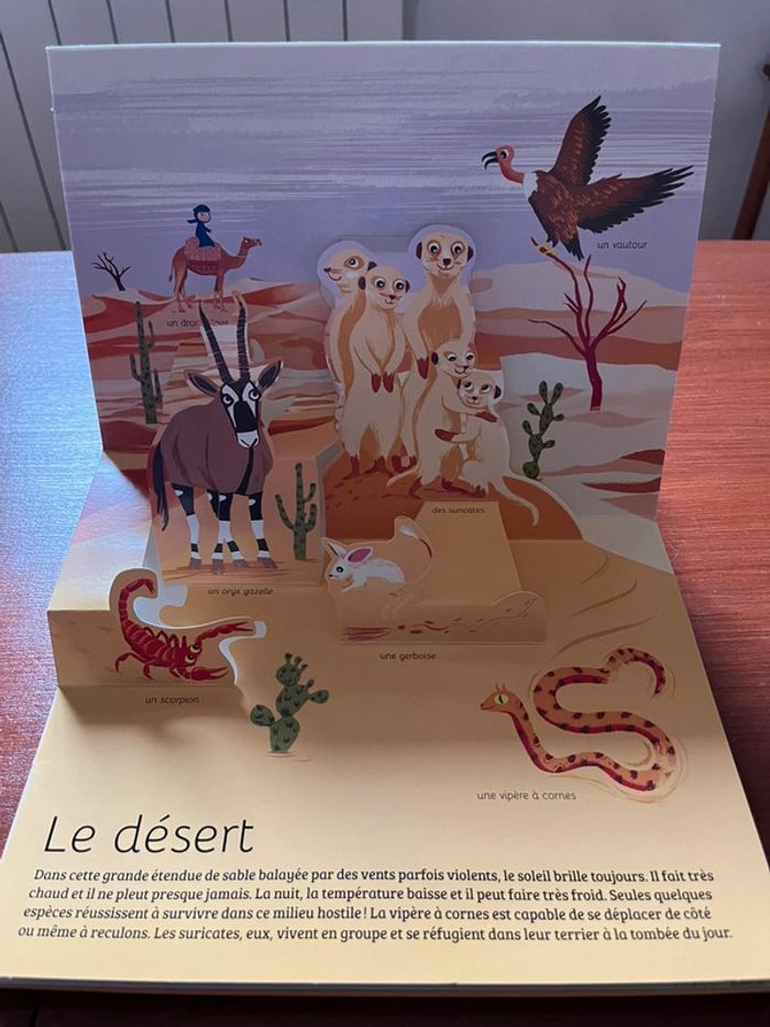 Livre en relief - photo numéro 5