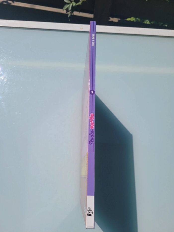 BD Studio Danse 🩰 Bamboo Édition, Tome 5 - photo numéro 3