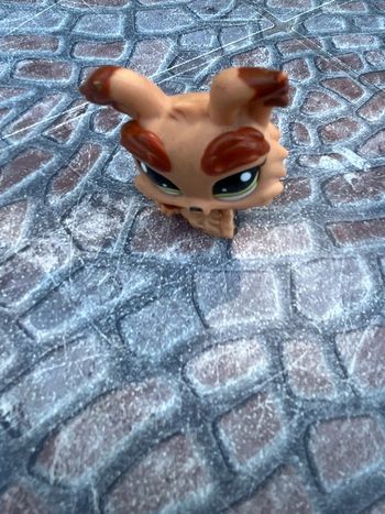 Petshop chien 🐱🐶 Vintage collectors