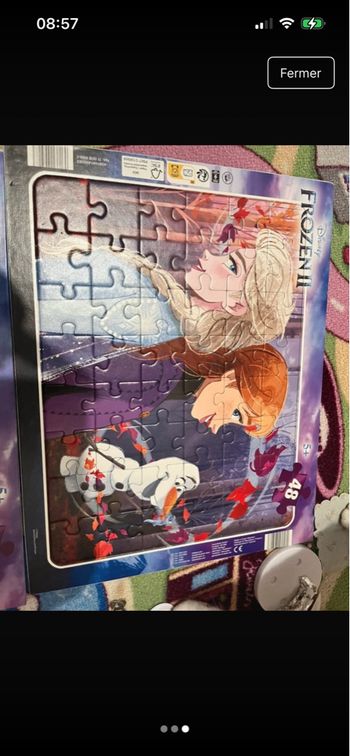 Puzzle reine des neiges