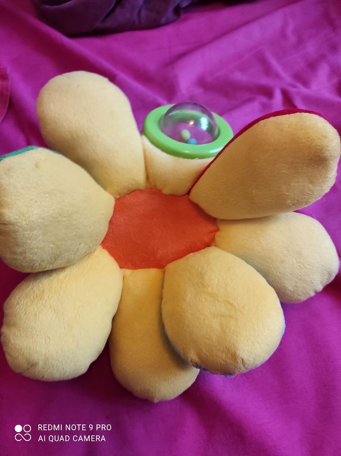 pieuvre d'activité neuve - photo numéro 3