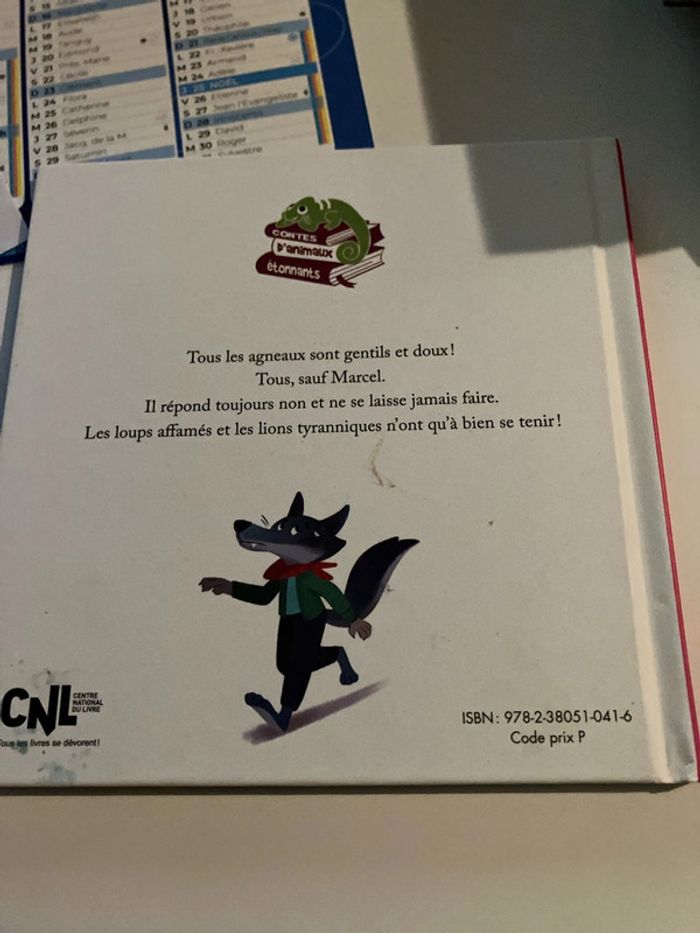 L’agneau qui a mauvais caractère - photo numéro 2