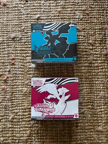 ETB Pokémon - EV10.5