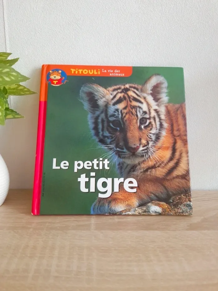 Livre enfant / Ridja la douce - photo numéro 3