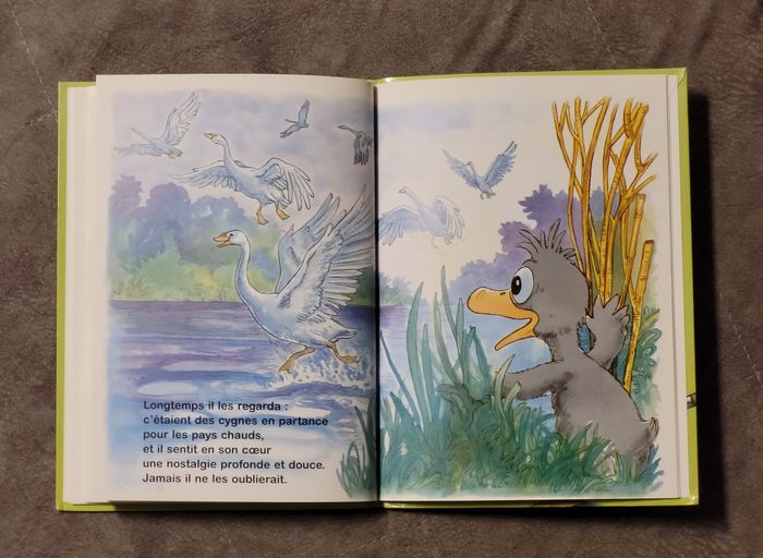 Le vilain petit canard Hans Christian Andersen - photo numéro 5