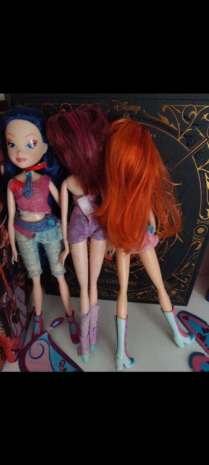 3 Poupées Bloom Tecna Musa Believix Winx Club Smoby saison 4 Fairy of Music - photo numéro 8