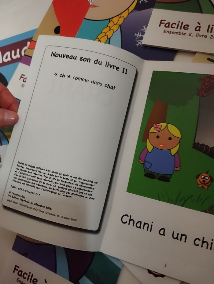 Livre collection livre facile à lire - photo numéro 2