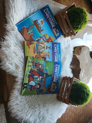 Livres Playmobil