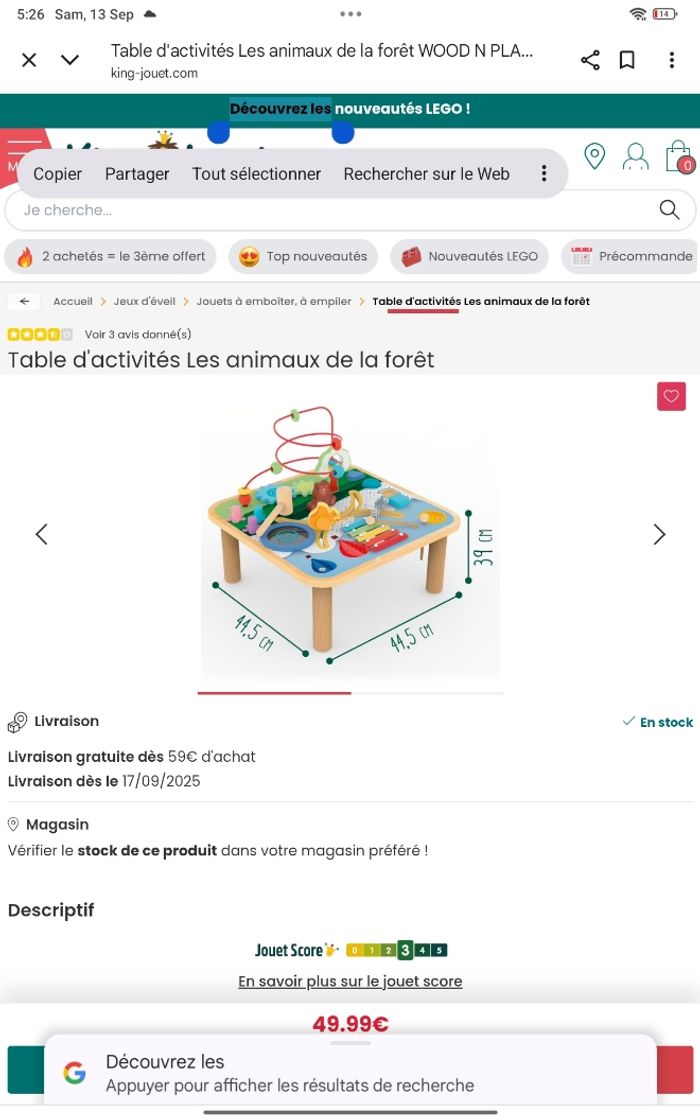 Table d'activités Les animaux de la forêt - photo numéro 6