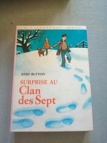🌸Surprise au clan des sept de Enid Blyton 🌸