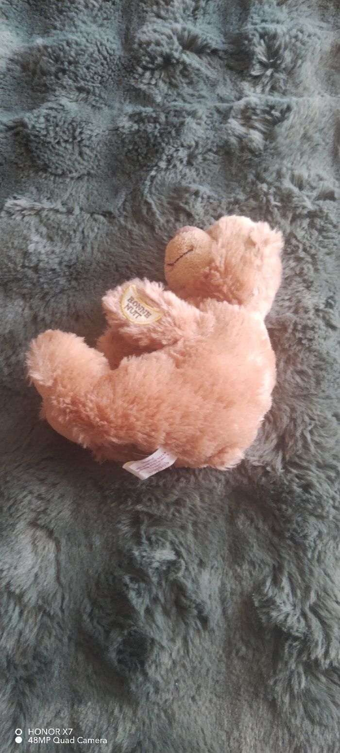 Petite peluche ours - photo numéro 2