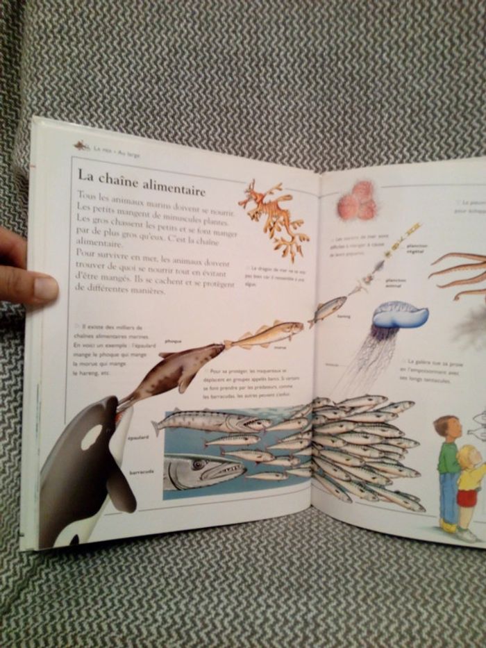 La Mer - Ma première encyclopédie - Ed. Nathan (pour France Loisirs) - photo numéro 9