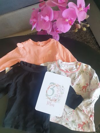 Lot 3 t-shirt manche longue