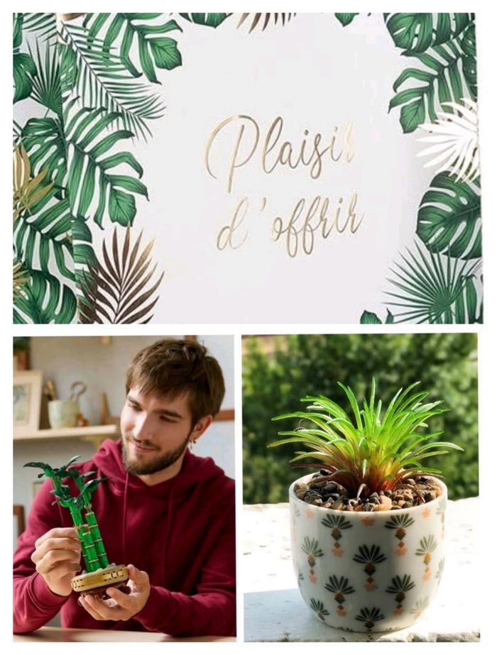 Lego bambou et Mini plante céramique - photo numéro 2
