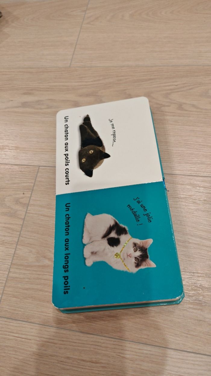 Livre Les chatons à toucher - photo numéro 4