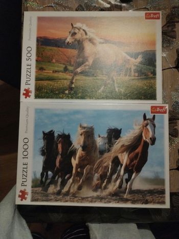 2 puzzles 