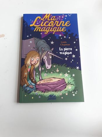 Livre ma licorne magique la pierre magique état neuf