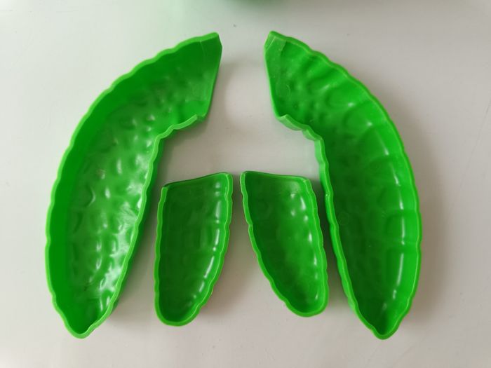 Moule de plage 🐢 - photo numéro 6