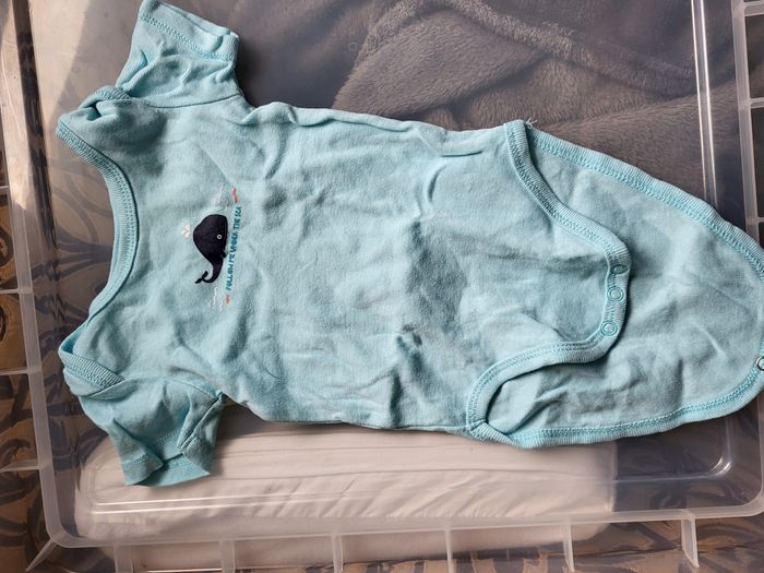 Lot de bodies 6 mois - photo numéro 4