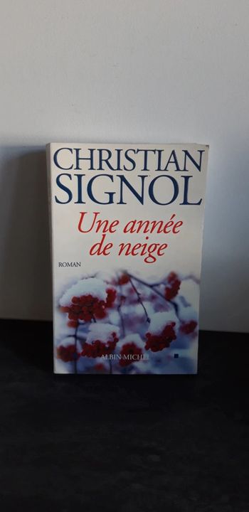 Une année de neige