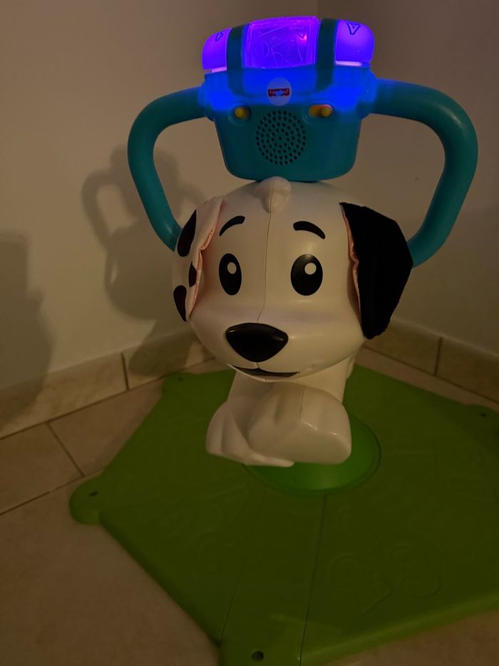 Chien tourni rebond - photo numéro 6