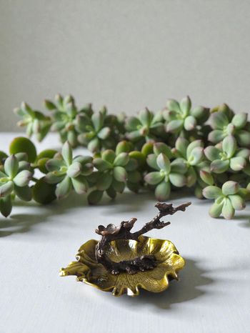 Porte Encens Nenuphar Oiseaux