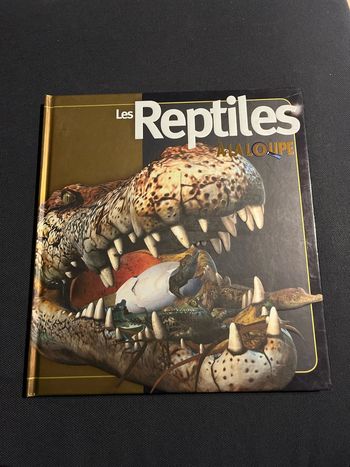 Livre pour enfants les reptiles à la loupe