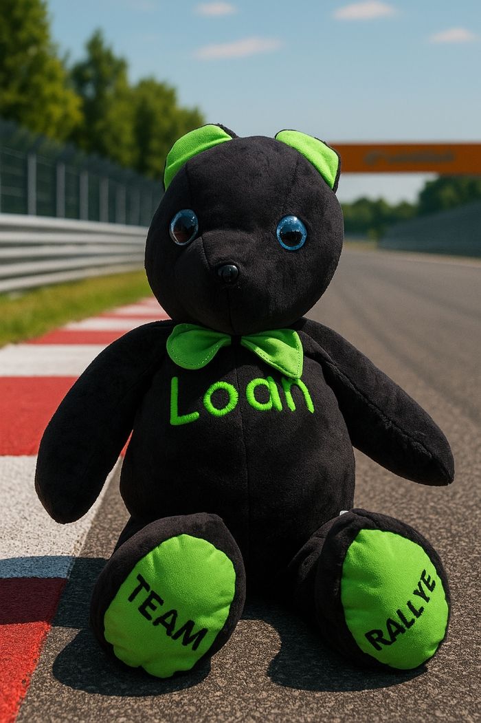 Doudou personnalisé - photo numéro 2